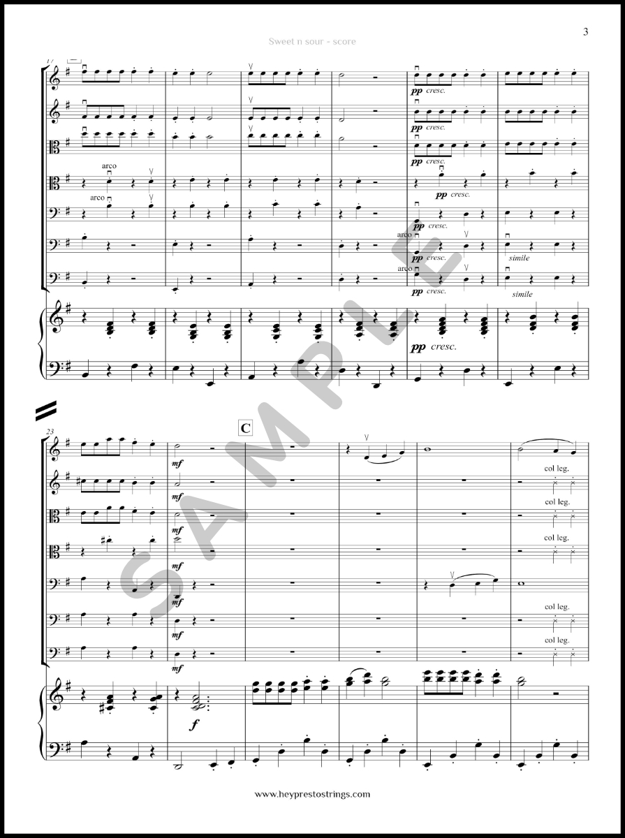 Sweet n Sour – String Group - Image 3