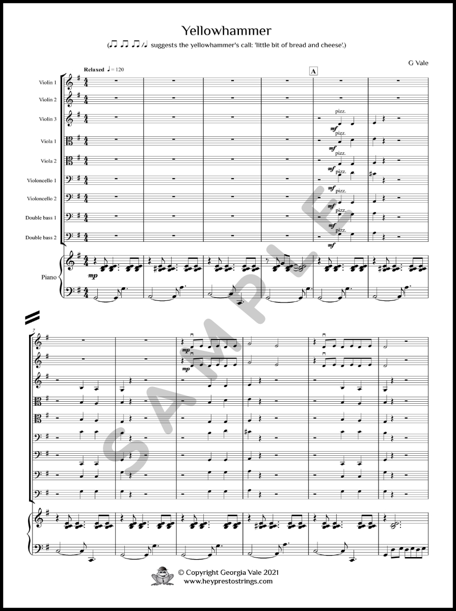 Yellowhammer – String Group - Image 6