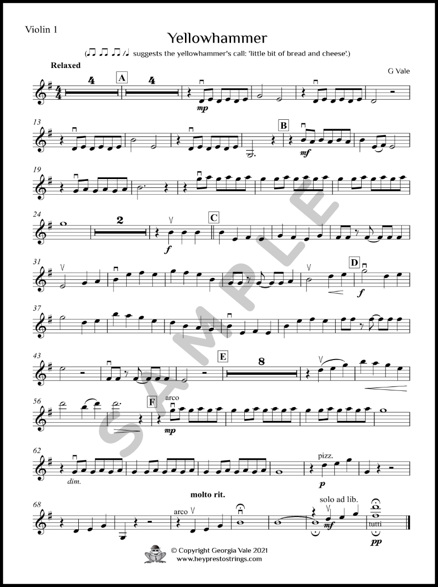 Yellowhammer – String Group - Image 5