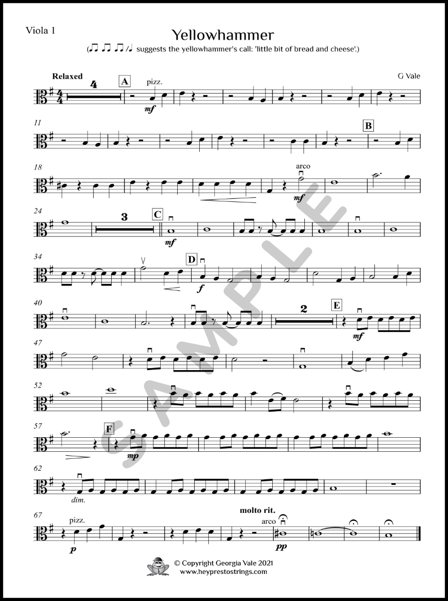 Yellowhammer – String Group - Image 4