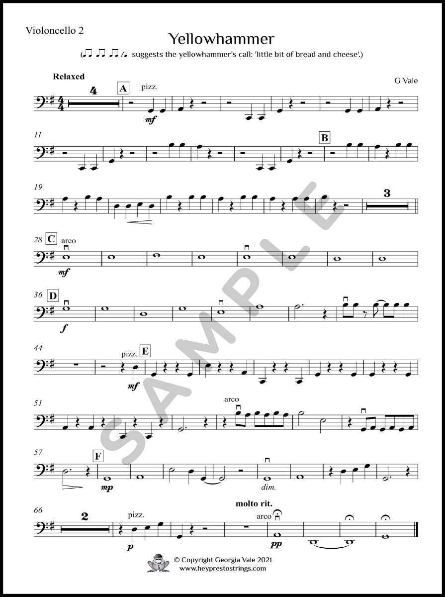 Yellowhammer – String Group - Image 3